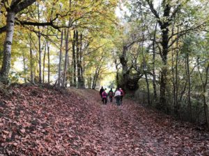 Chemins de randonnée