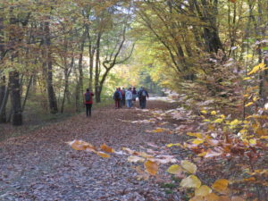 Chemins de randonnée